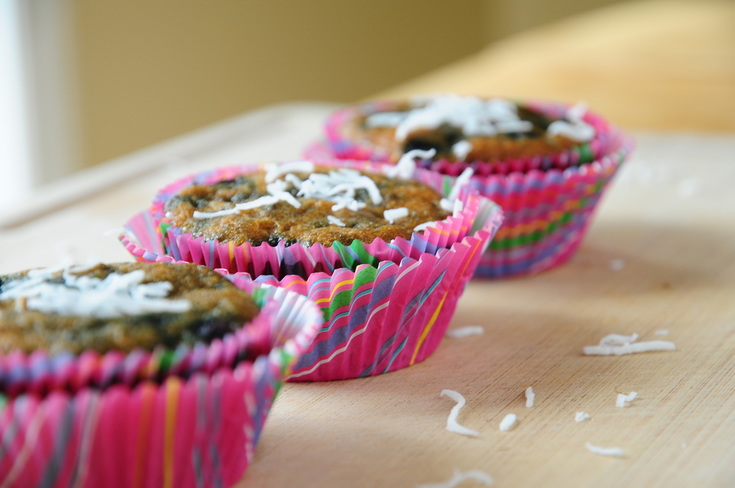 Blueberry Muffins | Young Paleo
